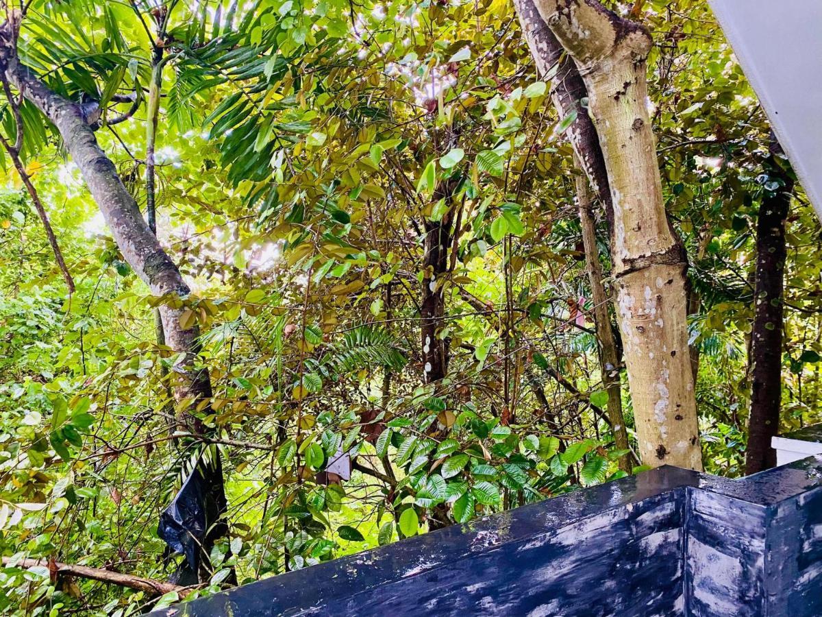 Nature Will Ahangama Extérieur photo