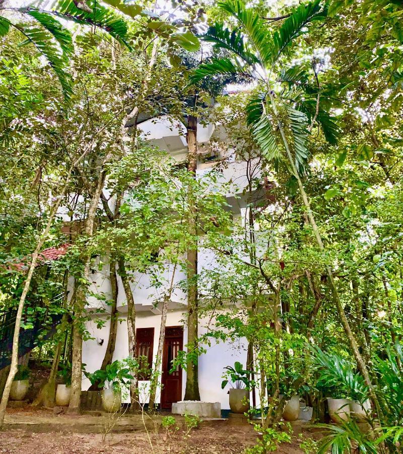 Nature Will Ahangama Extérieur photo