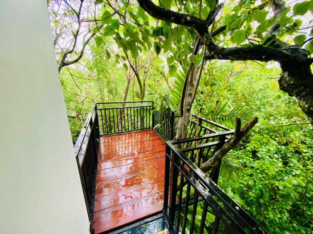 Nature Will Ahangama Extérieur photo
